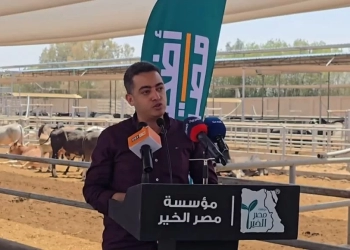 د. أحمد على: صك الأضحية مشروع تنموي يوفر آلاف فرص العمل للشباب 18 - جريدة المساء