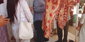 ضبط مخالفات تموينية وغذائية متنوعة خلال حملات مكبرة بـ3 مراكز في المنيا 1 - جريدة المساء