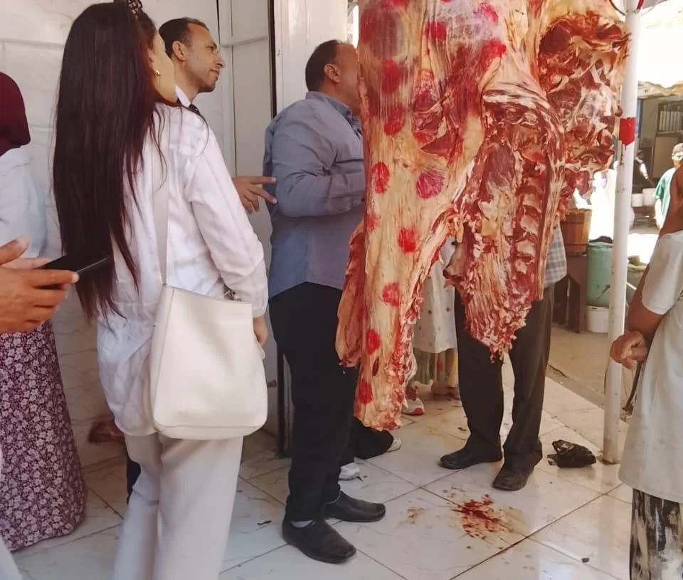 ضبط مخالفات تموينية وغذائية متنوعة خلال حملات مكبرة بـ3 مراكز في المنيا 18 - جريدة المساء