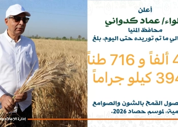 محافظ المنيا: حصاد التوريد يتجاوز 432 ألف طن قمح منذ بداية موسم 2026 29 - جريدة المساء
