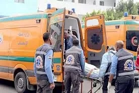 إصابة 17 عاملا في انقلاب ميكروباص بالمنيا 17 - جريدة المساء