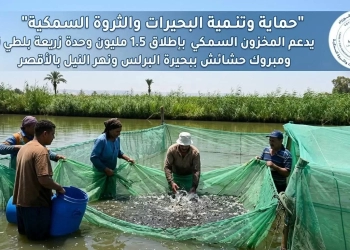 " حماية البحيرات " اطلاق 1.5 مليون وحدة زريعة بلطي نيلي ومبروك ببحيرة البرلس ونهر النيل بالأقصر 24 - جريدة المساء