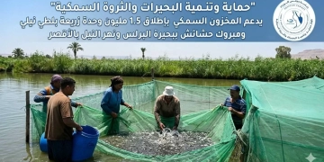 " حماية البحيرات " اطلاق 1.5 مليون وحدة زريعة بلطي نيلي ومبروك ببحيرة البرلس ونهر النيل بالأقصر 2 - جريدة المساء " حماية البحيرات " اطلاق 1.5 مليون وحدة زريعة بلطي نيلي ومبروك ببحيرة البرلس ونهر النيل بالأقصر 1 - جريدة المساء