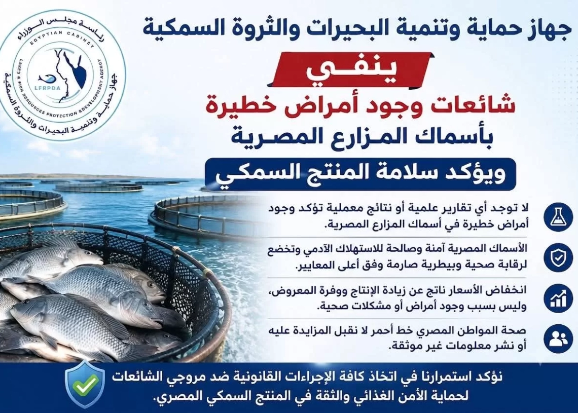 "جهاز حماية وتنمية البحيرات والثروة السمكية" ينفي شائعات وجود أمراض خطيرة بأسماك المزارع المصرية 19 - جريدة المساء
