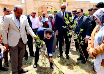 جامعة كفر الشيخ تقود التحول الأخضر بالمحافظة وزراعة 1000 شتلة كمرحلة أولى ضمن مبادرة التنمية المستدامة 25 - جريدة المساء