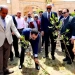 جامعة كفر الشيخ تقود التحول الأخضر بالمحافظة وزراعة 1000 شتلة كمرحلة أولى ضمن مبادرة التنمية المستدامة 9 - جريدة المساء
