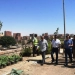 محافظ أسوان يتفقد أعمال تطوير مسجد الطابية والمنطقة المحيطة به 9 - جريدة المساء محافظ أسوان يتفقد أعمال تطوير مسجد الطابية والمنطقة المحيطة به 8 - جريدة المساء