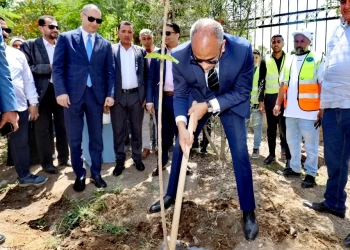 محافظ كفرالشيخ يزرع الأشجار بمركز قلين ضمن مبادرة «جميلة يا بلدي» و«100 مليون شجرة» 25 - جريدة المساء