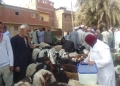 تحصين 227 ألف رأس ماشية بقري الجيزة ضد مرضي الحمى القلاعية والوادي المتصدع 20 - جريدة المساء تحصين 227 ألف رأس ماشية بقري الجيزة ضد مرضي الحمى القلاعية والوادي المتصدع 19 - جريدة المساء