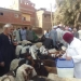 تحصين 227 ألف رأس ماشية بقري الجيزة ضد مرضي الحمى القلاعية والوادي المتصدع 3 - جريدة المساء