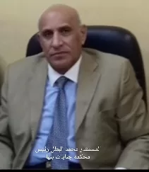 «عشماوى» فى انتظار قتلة سائق "توك توك" الخانكة 19 - جريدة المساء