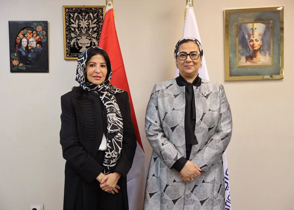 المستشارة أمل عمار تؤكد حرص المجلس القومي على دعم وتعزيز جهود منظمة تنمية المرأة 12 - جريدة المساء