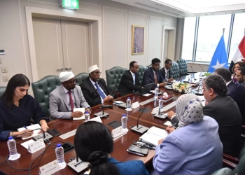 وزير الصحة بحث مع نظيره الصومالي تعزيز التعاون الثنائي وتبادل الخبرات في المجالات الصحية 29 - جريدة المساء
