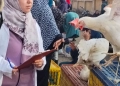 "الزراعة" تكثف الإنذار المبكر لحماية الثروة الحيوانية والداجنة 20 - جريدة المساء