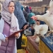 "الزراعة" تكثف الإنذار المبكر لحماية الثروة الحيوانية والداجنة 3 - جريدة المساء