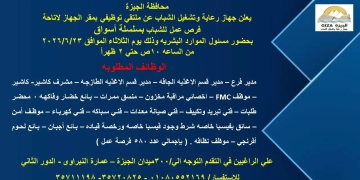الثلاثاء.. ملتقى توظيفي بالجيزة لتوفير 580 فرصة عمل للشباب بإحدى سلاسل الأسواق التجارية 1 - جريدة المساء