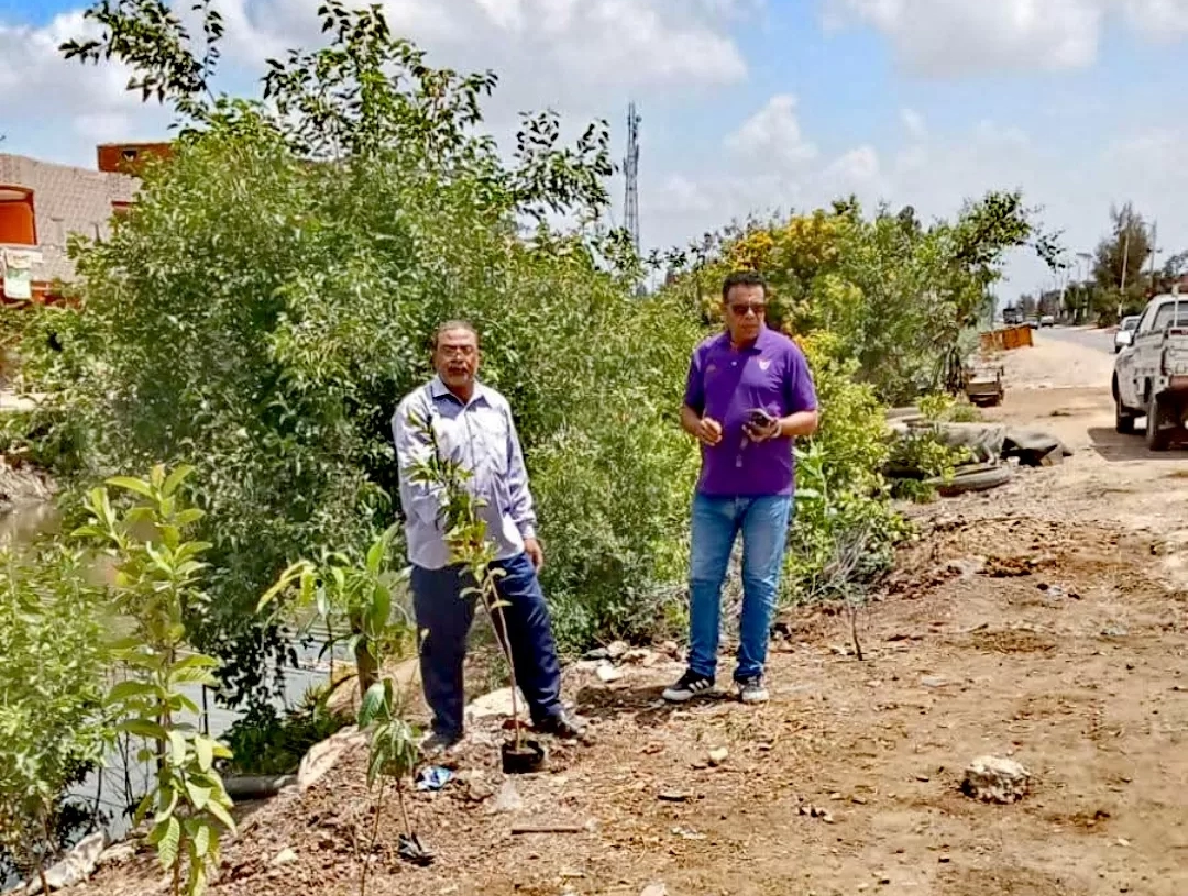 جولة ميدانية لرئيس مركز ومدينة الحامول بقرية كوم الحجر 19 - جريدة المساء
