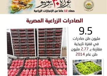"الزراعه" طفره فى الصادرات الزراعيه بفضل ٣٠ يونيو 23 - جريدة المساء