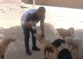 مديرية الطب البيطرى في اسوان تواصل جهودها لحماية المواطنين بتكثيف حملات تحصين الكلاب الحرة ضد مرض السعار 23 - جريدة المساء