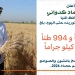 انتظام أعمال توريد القمح بالمنيا واستلام نحو 533 ألف طن لدعم المخزون الاستراتيجي 5 - جريدة المساء