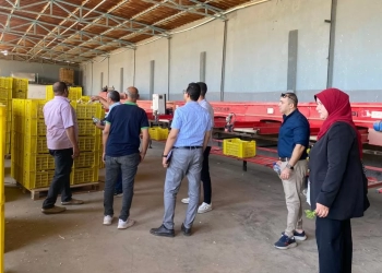 وفد مشروع دعم التنمية المحلية يختتم زيارته لبني سويف لمتابعة مستجدات مشروع مركز النباتات الطبية والعطرية بسمسطا وتحديث دراسة سلاسل القيمة 27 - جريدة المساء