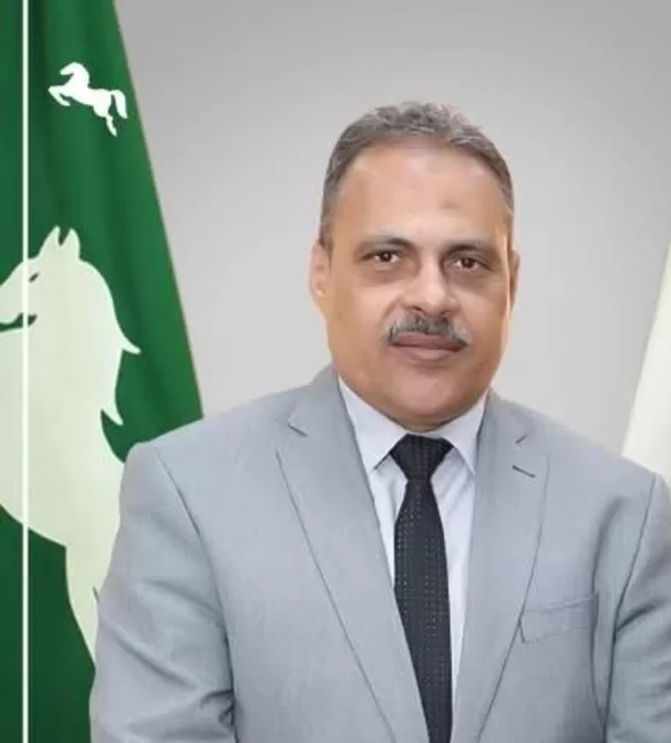نظرة لطريق « أمينة هانم » ! ! 19 - جريدة المساء