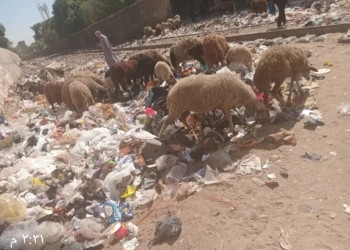 محيط موقف القلج ٠ ٠ مقلب كبير للقمامة 25 - جريدة المساء