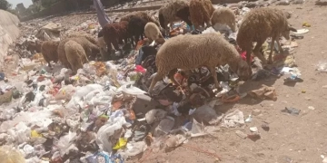 محيط موقف القلج ٠ ٠ مقلب كبير للقمامة 1 - جريدة المساء