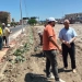 تطوير ورفع كفاءة المدخل الجنوبي لمدينة القنطرة غرب 8 - جريدة المساء تطوير ورفع كفاءة المدخل الجنوبي لمدينة القنطرة غرب 7 - جريدة المساء
