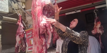 ضبط ومصادرة أكثر من نصف طن لحوم غير صالحة ومذبوحة خارج المجازر بالمنيا 1 - جريدة المساء