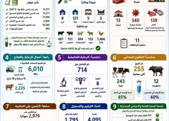 محافظ أسوان يتابع نتائج جهود مديرية الطب البيطرى خلال شهر مايو المنقضى دعم للثروة الحيوانية وتعزيز للأمن الغذائى 21 - جريدة المساء