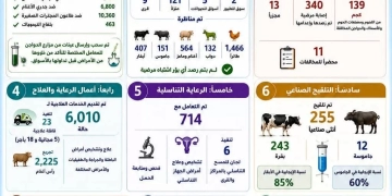 محافظ أسوان يتابع نتائج جهود مديرية الطب البيطرى خلال شهر مايو المنقضى دعم للثروة الحيوانية وتعزيز للأمن الغذائى 2 - جريدة المساء محافظ أسوان يتابع نتائج جهود مديرية الطب البيطرى خلال شهر مايو المنقضى دعم للثروة الحيوانية وتعزيز للأمن الغذائى 1 - جريدة المساء