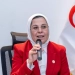 د. آمال إمام، المدير التنفيذى للهلال الأحمر المصرى