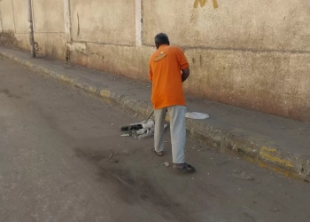 استمرار جهود النظافة ورفع كفاءة البيئة بمدينة أسوان وقرية أبو الريش 29 - جريدة المساء