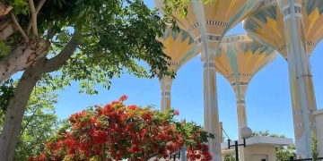 جامعة قناة السويس تطلق جائزة "الباحث الذهبي" 1 - جريدة المساء