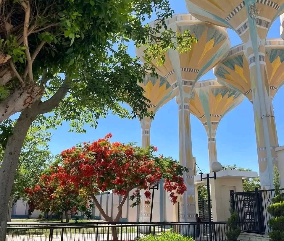 جامعة قناة السويس تطلق جائزة "الباحث الذهبي" 19 - جريدة المساء