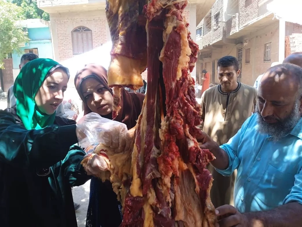 ضبط أكثر من نصف طن دواجن وأسماك ولحوم غير صالحة للاستهلاك الآدمي في المنيا 19 - جريدة المساء