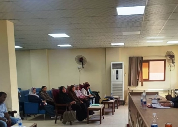 نائب محافظ أسوان يوجه برفع معدلات الأداء بإدفو 16 - جريدة المساء
