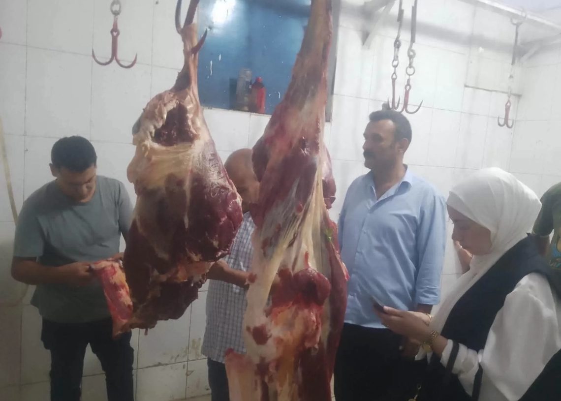 ضبط نصف طن مصنعات لحوم و دواجن غير صالحة للاستهلاك الآدمي بقويسنا 20 - جريدة المساء ضبط نصف طن مصنعات لحوم و دواجن غير صالحة للاستهلاك الآدمي بقويسنا 19 - جريدة المساء