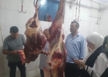 ضبط نصف طن مصنعات لحوم و دواجن غير صالحة للاستهلاك الآدمي بقويسنا 27 - جريدة المساء