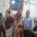 ضبط نصف طن مصنعات لحوم و دواجن غير صالحة للاستهلاك الآدمي بقويسنا 3 - جريدة المساء