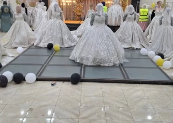 دعم زواج عدد (14) فتاة يتيمة مقبلة على الزواج فى قرى ومراكز بني سويف 26 - جريدة المساء دعم زواج عدد (14) فتاة يتيمة مقبلة على الزواج فى قرى ومراكز بني سويف 25 - جريدة المساء
