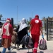 فرق الهلال الأحمر تستقبل الدفعة 59 من الجرحى والمصابين الفلسطينيين 3 - جريدة المساء