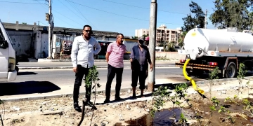 محافظ كفرالشيخ يتابع زراعة الأشجار ببلطيم لتعزيز الاستدامة البيئية وتحسين جودة الحياة 2 - جريدة المساء محافظ كفرالشيخ يتابع زراعة الأشجار ببلطيم لتعزيز الاستدامة البيئية وتحسين جودة الحياة 1 - جريدة المساء