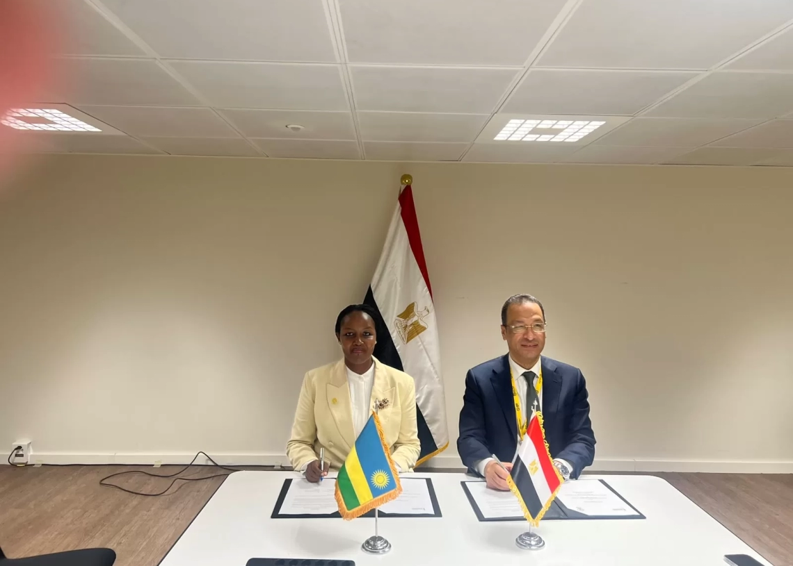 وزير الاتصالات يستعرض مع نظيره السوداني التعاون فى تطوير البنية التحتية الرقمية 19 - جريدة المساء