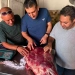 حملات مكثفة تضبط طنًا و350 كجم من اللحوم والدواجن غير المطابقة بالغربية وتحرر 23 محضرًا للمخالفين. 3 - جريدة المساء