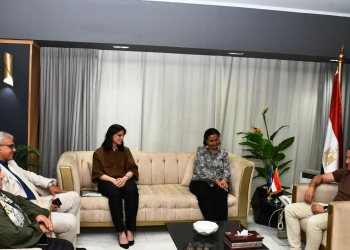 محافظ اسوان يبحث مع مستشار وزير المالية تعزيز كفاءة برامج الحماية الإجتماعية فى إطار رؤية أسوان 2040 27 - جريدة المساء