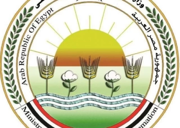 اجتماع مشترك بين "منتجي الحاصلات البستانية" و"التحالف العربي" و"الشركة المصرية للتنمية" لبحث تسويق تقاوي البطاطس المحلية 25 - جريدة المساء