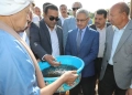 محافظ بنى سويف يشهد إلقاء دفعة من الزرّيعات ضمن مشروع الاستزراع السمكي بجهاز حماية وتنمية البحيرات والثروة السمكية 21 - جريدة المساء