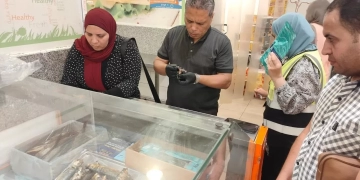 ضبط 756.5 كجم علف مواشي وتحرير 13 محضرًا خلال 48 ساعة.. بحملات الطب البيطري بالغربية 1 - جريدة المساء